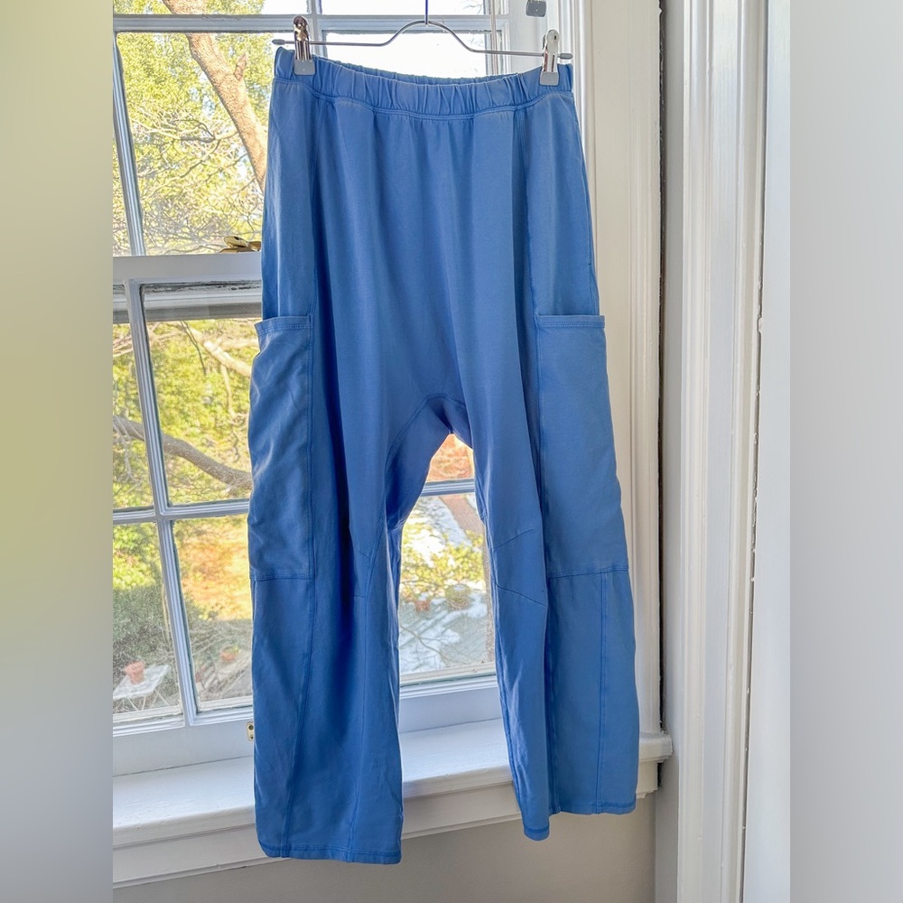 Free People Hot Shot Pants - L